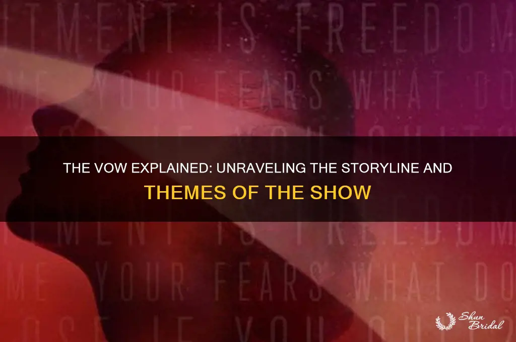 what is the show the vow about