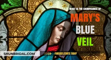 Mary's Blue Veil: Unveiling Its Spiritual and Cultural Significance