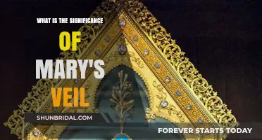 Mary's Veil: Unveiling Its Spiritual and Historical Significance