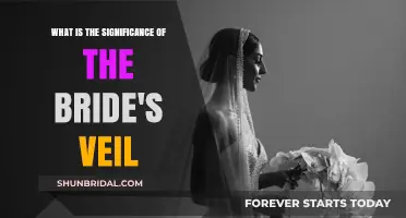 The Bride's Veil: Unveiling Its Timeless Symbolism and Significance