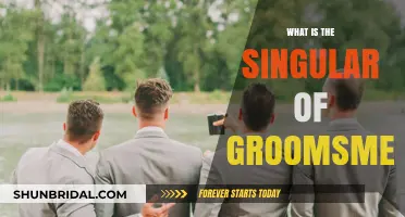 Unveiling the Singular Form of Groomsmen: A Wedding Party Essential