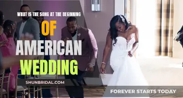 American Wedding: Opening Song and Its Significance