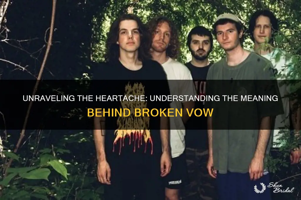 what is the song broken vow about