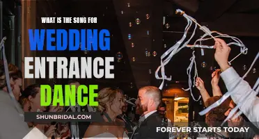 The Perfect Wedding Entrance Dance Song for You
