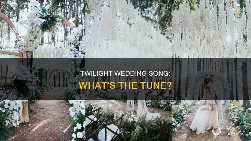 what is the song played at the wedding in twilight