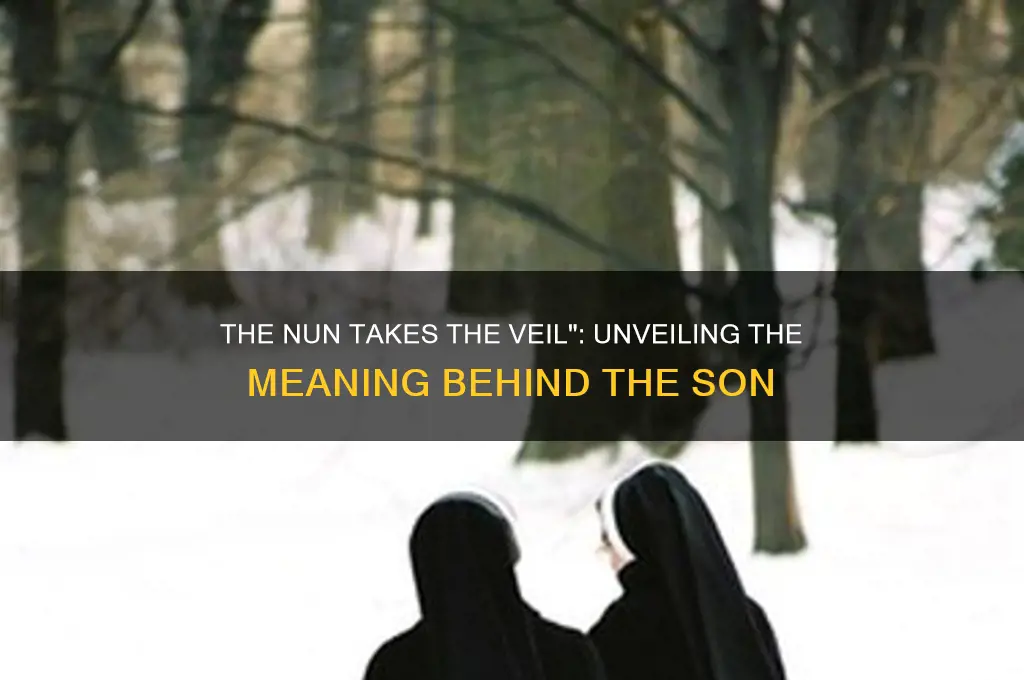 what is the song the nun takes the veil about