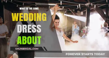 Wedding Dress Song Meaning: Who is it About?