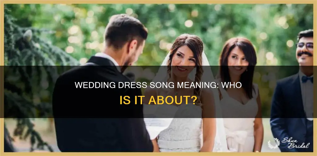 what is the song wedding dress about