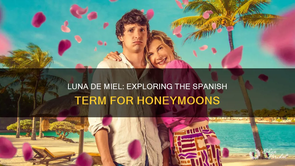 what is the spanish word for honeymoon