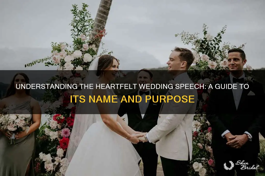 what is the speech called at a wedding ceremony