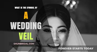 The Wedding Veil Symbol: Unveiling Its Timeless Meaning and Tradition