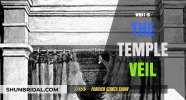 Understanding the Temple Veil: Symbolism, History, and Spiritual Significance