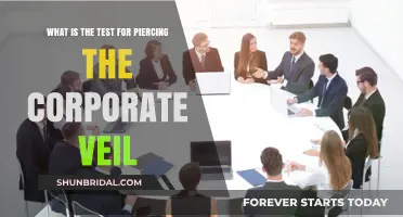 Piercing the Corporate Veil: Understanding the Legal Test for Liability