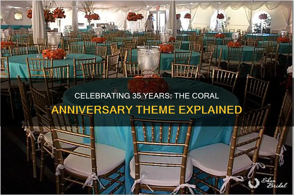 what is the theme for 35th wedding anniversary