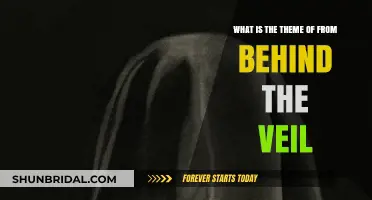Unveiling the Theme of 'From Behind the Veil': A Deep Dive