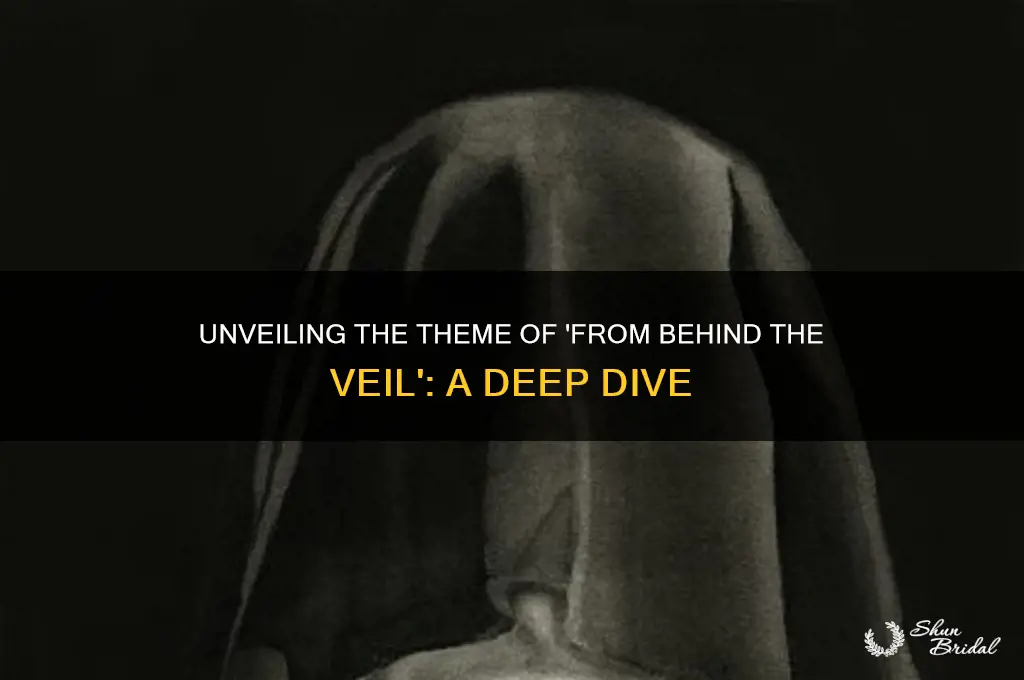what is the theme of from behind the veil