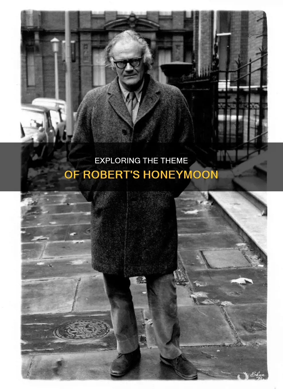 what is the theme of honeymoon by robert