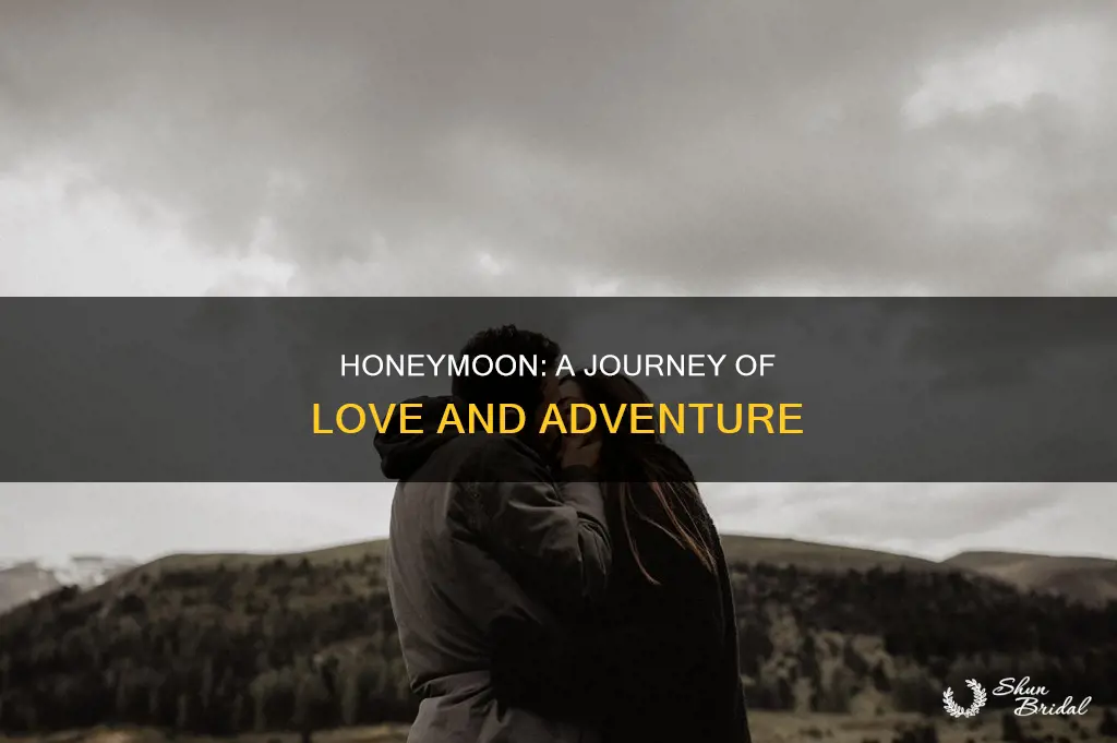 what is the theme of honeymoon