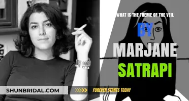 Unveiling Identity: Exploring Marjane Satrapi's 'The Veil' Theme