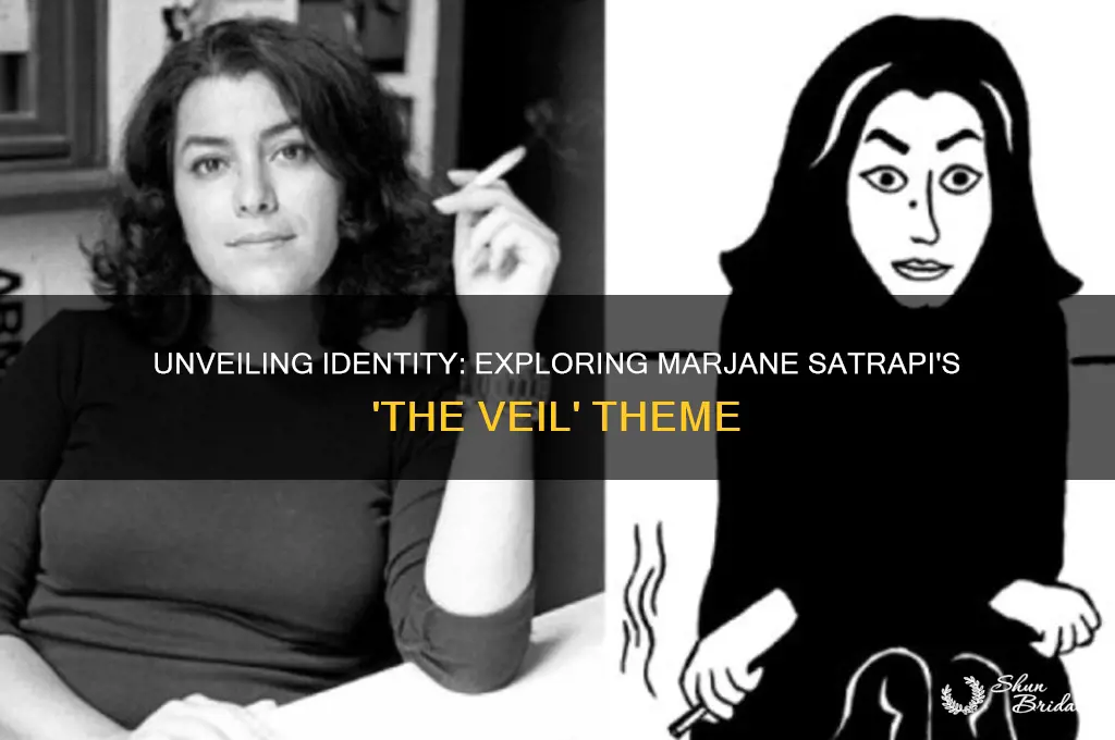 what is the theme of the veil by marjane satrapi