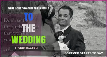 Love, Commitment, or Tradition: What Truly Draws People to Weddings?