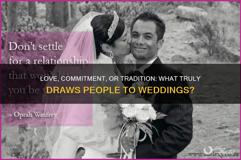what is the thing that drives people to the wedding