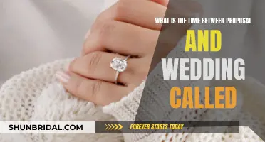 The Time Between "Yes" and "I Do": Explained