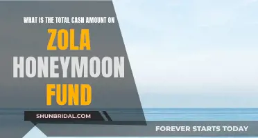 Zola Honeymoon Fund: Unlocking the Total Cash Amount