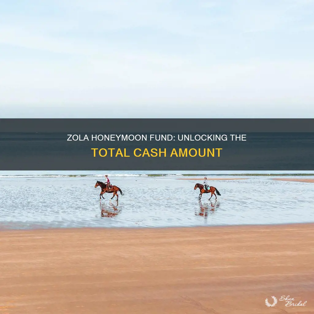 what is the total cash amount on zola honeymoon fund