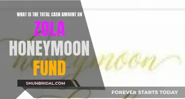 How Much Cash Can You Expect on Zola Honeymoon Fund?