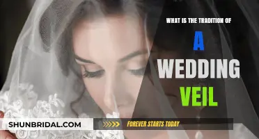 The Timeless Tradition of the Wedding Veil: History and Meaning