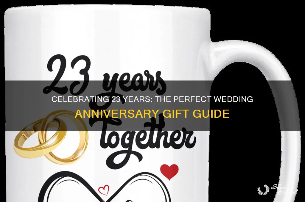 what is the twenty third wedding anniversary gift
