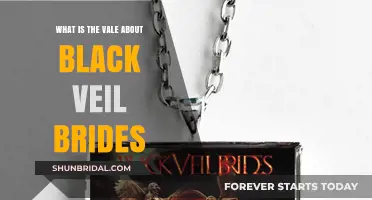 Unveiling the Mystery: Black Veil Brides' Vale Explained