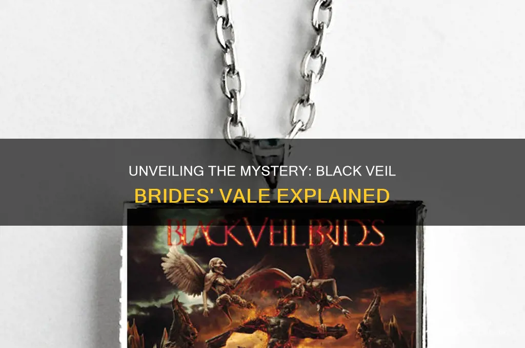 what is the vale about black veil brides