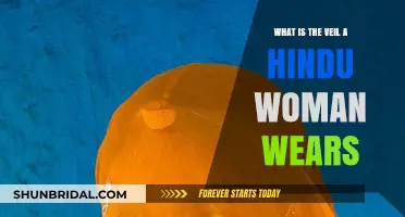 Understanding the Significance of the Veil in Hindu Women's Traditions
