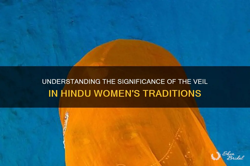 what is the veil a hindu woman wears