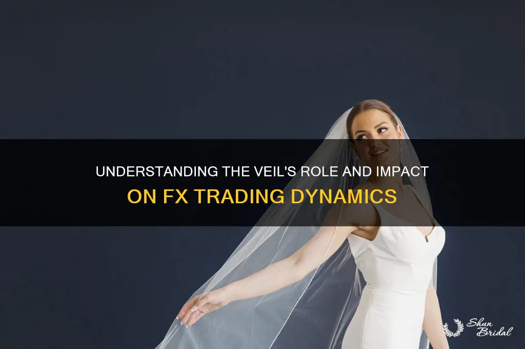 what is the veil about on fx