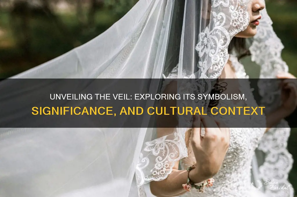 what is the veil about