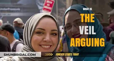 Unveiling the Debate: What is the Veil Really Arguing?