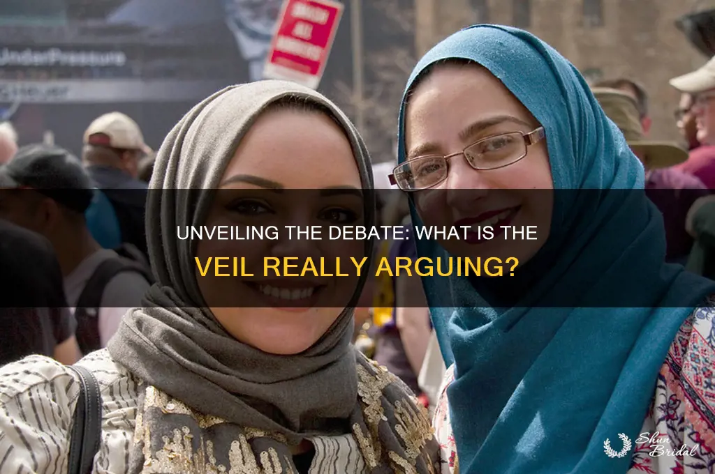 what is the veil arguing