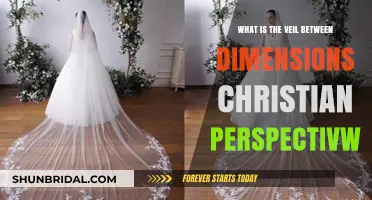 The Veil Between Dimensions: A Christian Perspective Explored