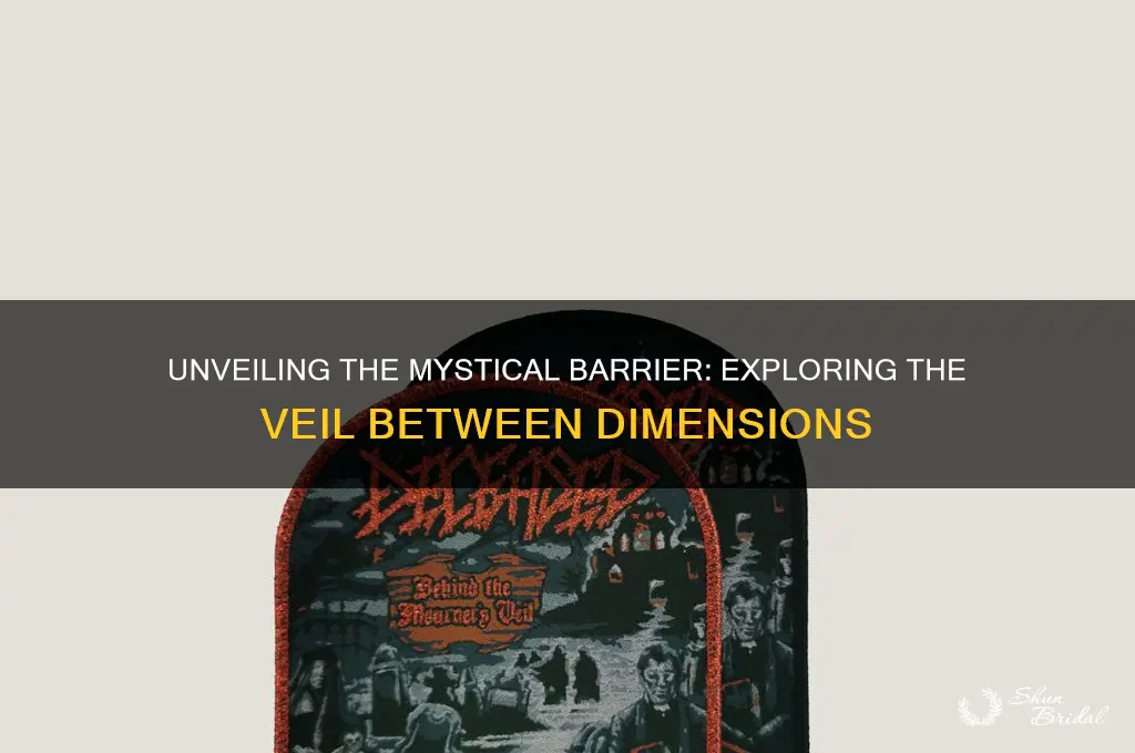 what is the veil between dimensions