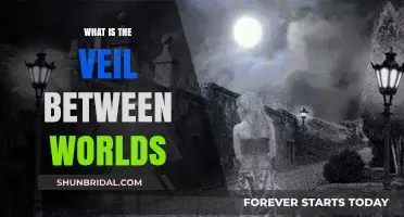 Unveiling the Mystical Veil Between Worlds: A Spiritual Exploration