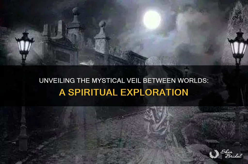 what is the veil between worlds