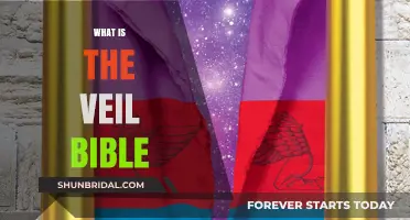 Understanding the Veil in the Bible: Symbolism, Significance, and Interpretation