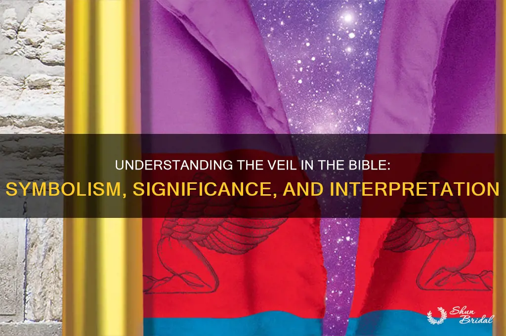 what is the veil bible