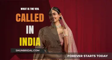 Understanding the Indian Veil: Names, Traditions, and Cultural Significance