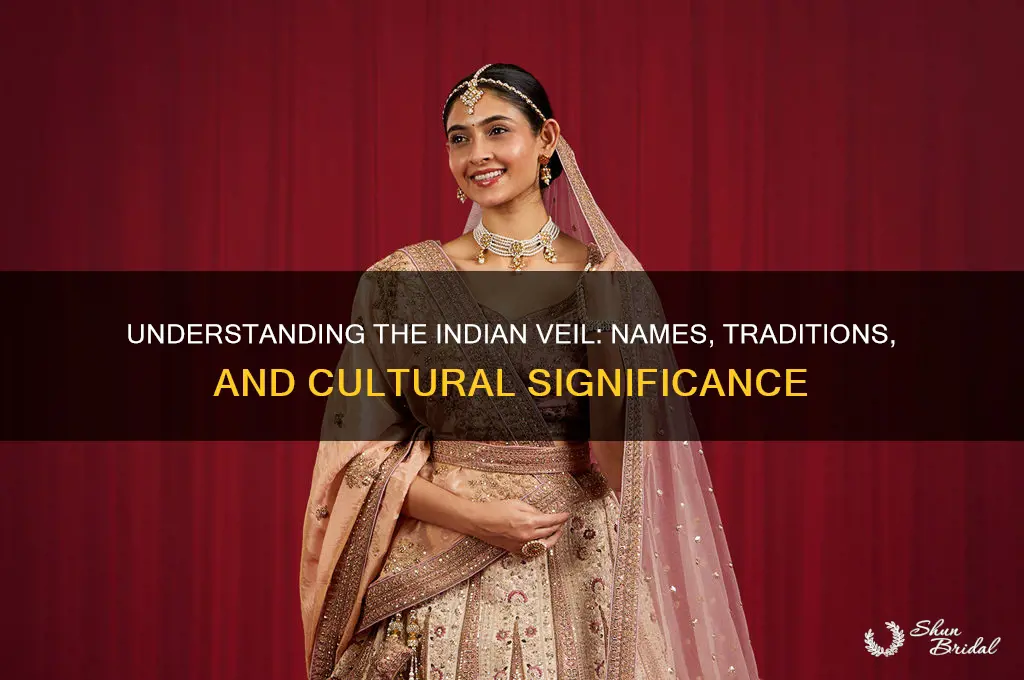 what is the veil called in india