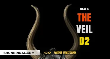 Understanding the Veil D2: A Comprehensive Guide to Its Purpose and Use