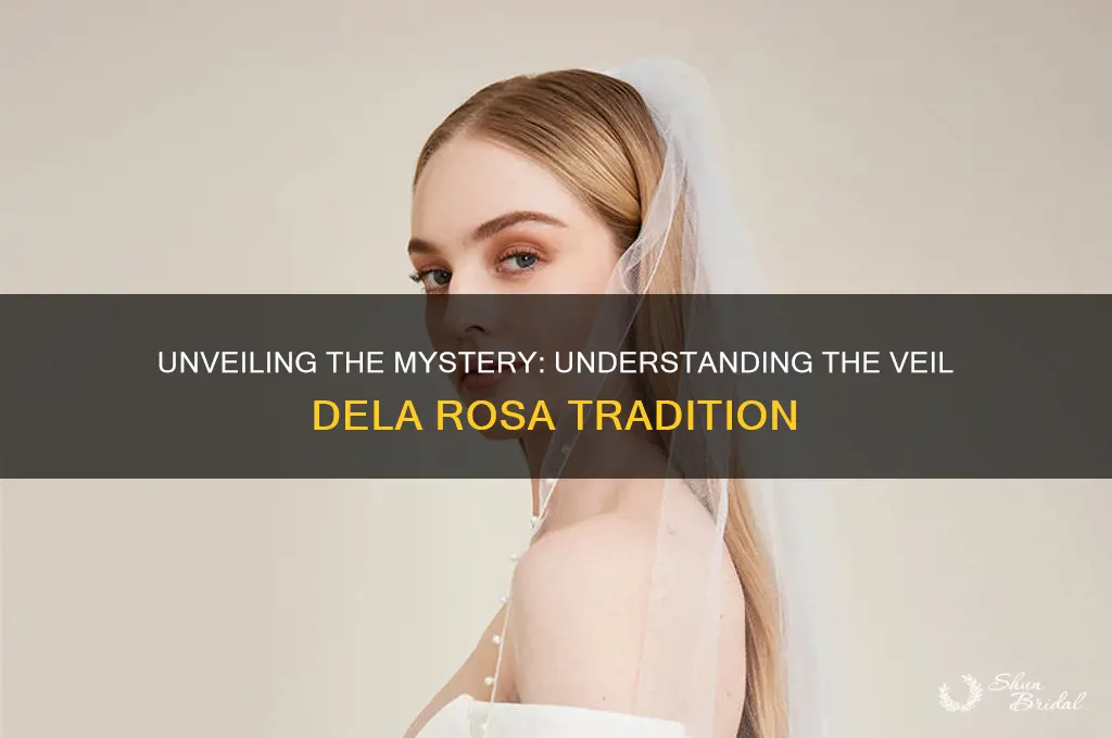what is the veil dela rosa